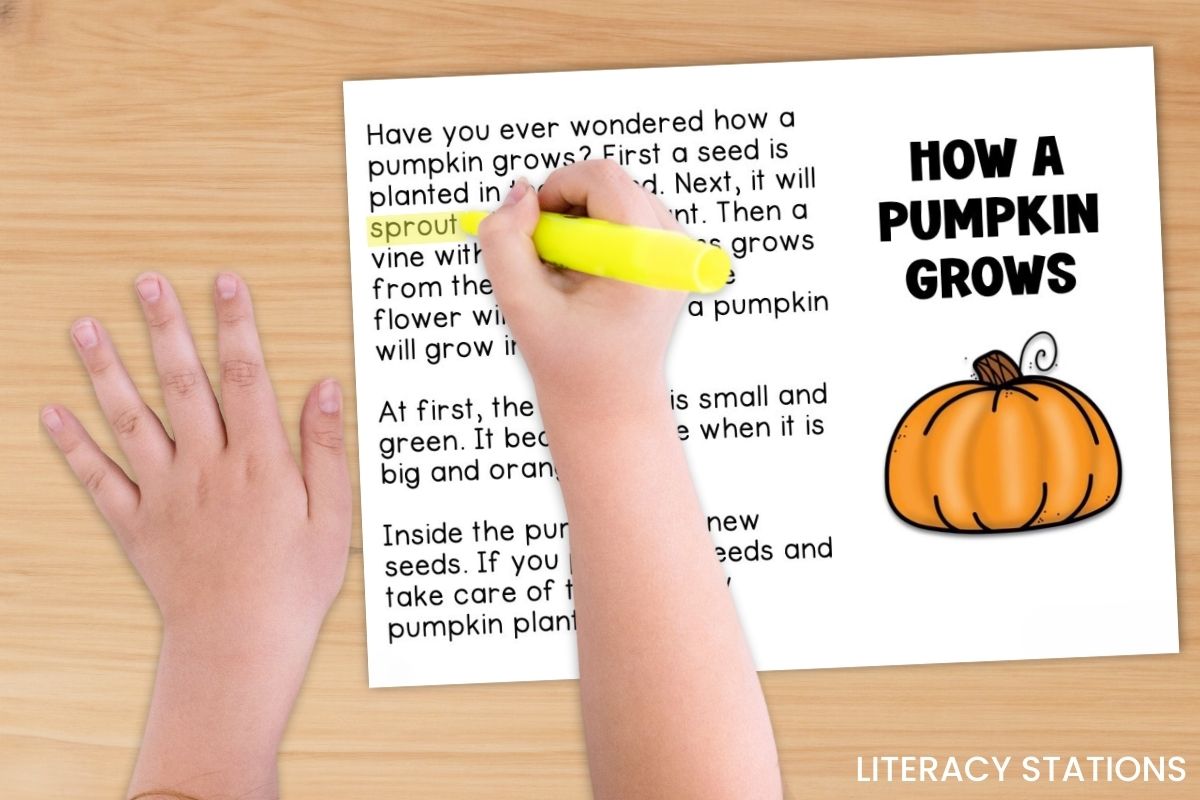 literacy stations library card