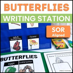 1st Grade Butterflies Writing Center