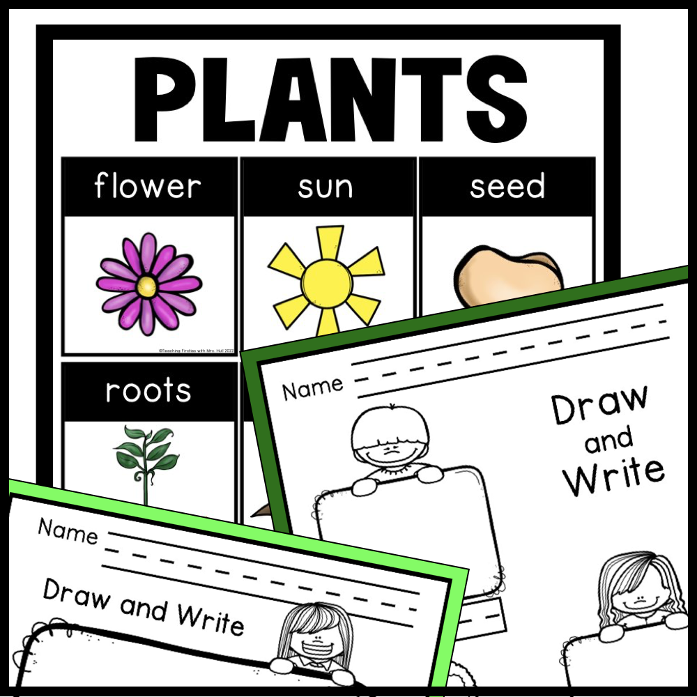 plants writing center