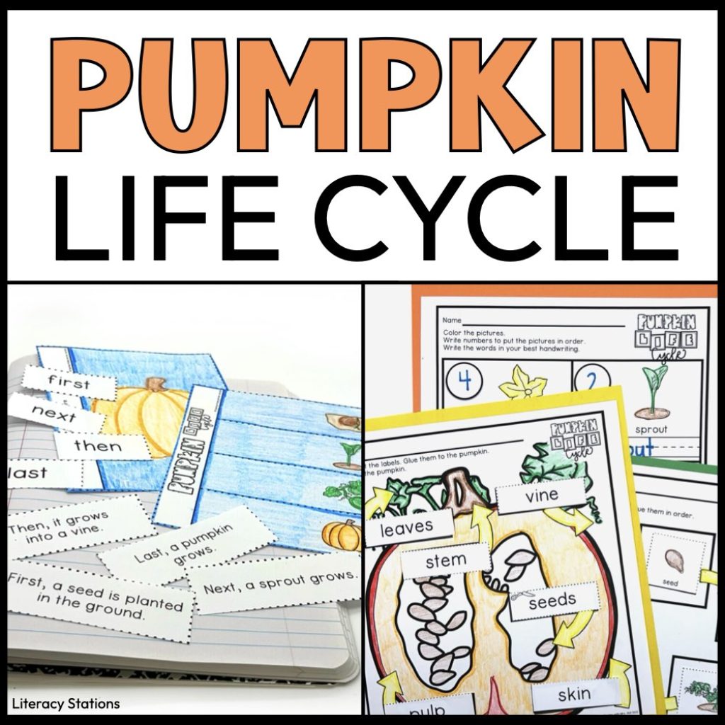 pumpkin life cycle